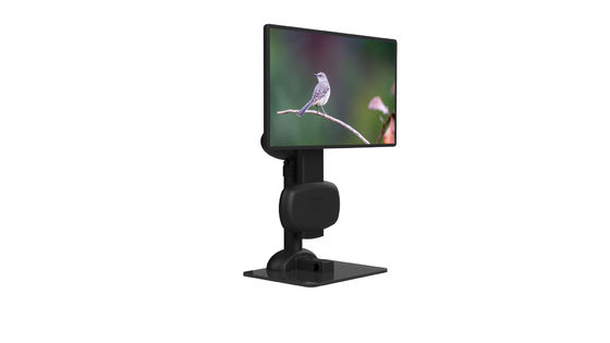 Giro ergonômico do monitor do suporte do LCD para aliviar a rigidez do pescoço