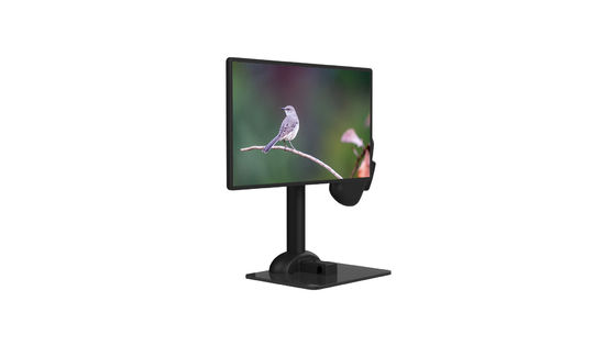 Gerencio profissional do suporte do monitor do LCD automático para a rigidez da espinha