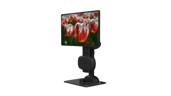 Projeto preguiçoso de levantamento elétrico do suporte da exposição do portátil do OEM/ODM