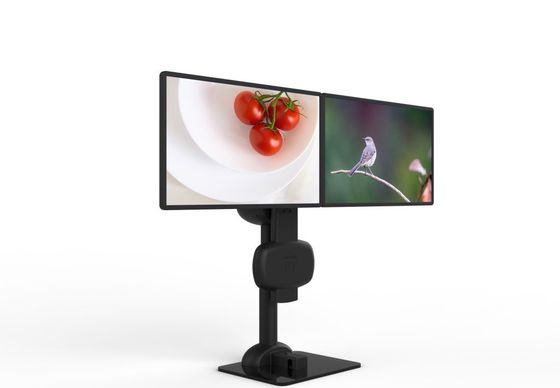 Eletrônico de elevação rotativo duplo monitor Stand para aliviar dor no pescoço e lombar