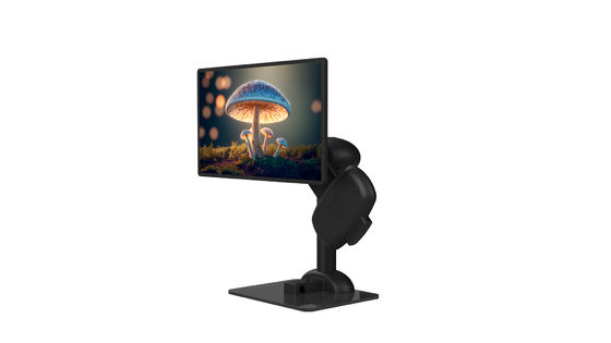 O braço do portátil da rigidez do pescoço está a montagem de gerencio de levantamento preta do monitor