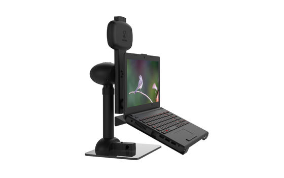 Gerencio automático do suporte do monitor do OEM/ODM LCD para a rigidez da espinha