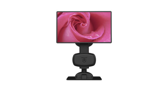Instrumento de terapia do pescoço preto mate do monitor LCD do laptop para relaxar a rigidez
