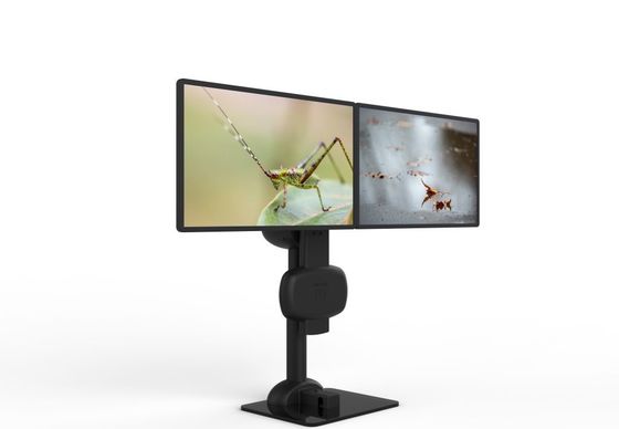 Montagem de monitor duplo rotativo automático para aliviar dor no pescoço e nas costas